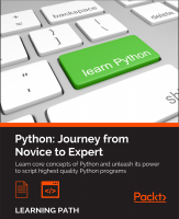 Python Journey from Novice to Expert.pdf